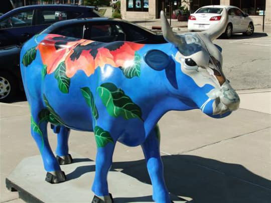 Sun-Prairie-WI-Cow-540 right looking Decorated cow on the sidewalk in Sun Prairie WI